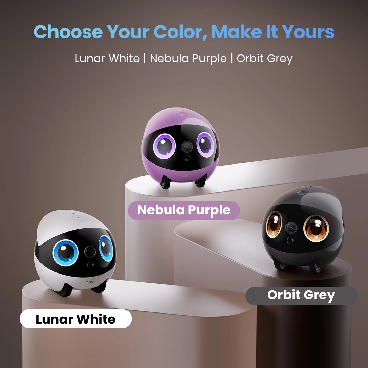 ROBO BUDDY EXPERT 2 PLUS