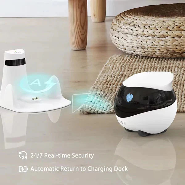ROBO BUDDY EXPERT